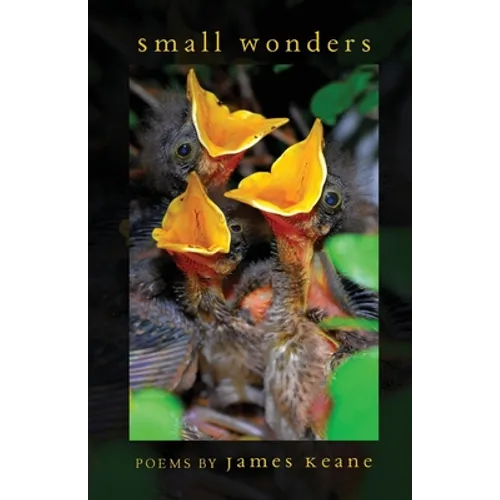 Small Wonders