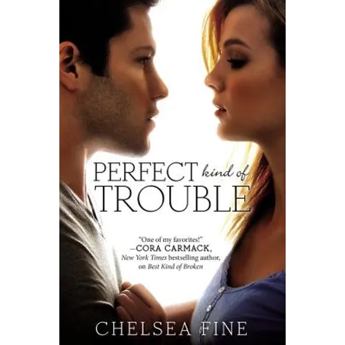Perfect Kind of Trouble