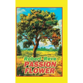 Passion Flower