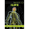 Hardwired for Life: Human Understanding Beyond Surface Personality