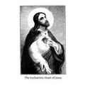 The Eucharistic Heart of Jesus: Readings for the Month of June