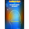 The Brain's Conduit and Miraya. Lecture 112, Dirasaat 1969
