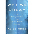 Why We Dream: The Transformative Power of Our Nightly Journey