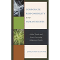 Corporate Responsibility and Human Rights: Global Trends and Issues Concerning Indigenous Peoples