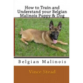 How to Train and Understand Your Belgian Malinois Puppy & Dog
