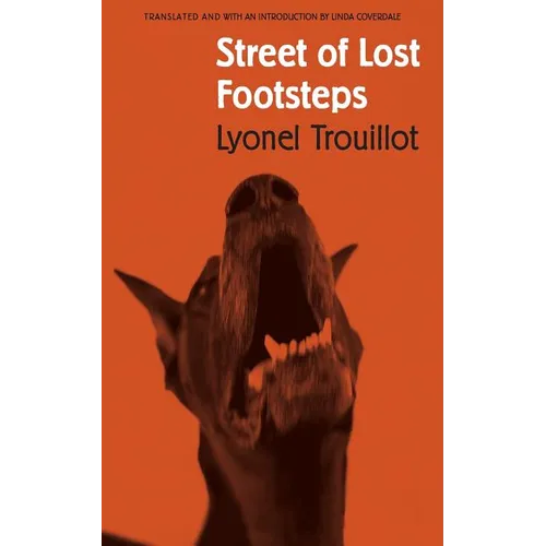 Street of Lost Footsteps: Rue Des Pas-Perdus