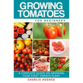 Growing Tomatoes for Beginners: A Complete Guide on Growing Your First Tomato Plant