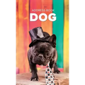 Address Book Dog