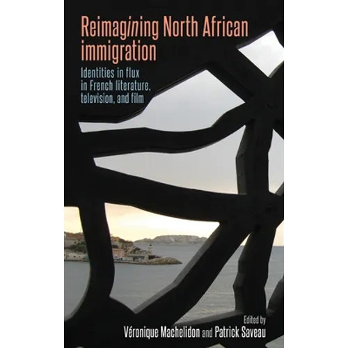 Reimagining North African Immigration: Identities in Flux in French Literature, Television, and Film