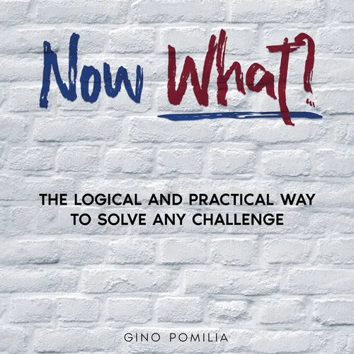Now What?: The Logical and Practical Way to Solve any Challenge