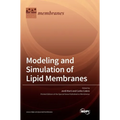 Modeling and Simulation of Lipid Membranes