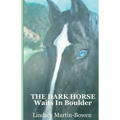 The Dark Horse Waits in Boulder