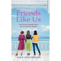 Friends Like Us
