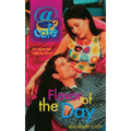 Flavor of the Day