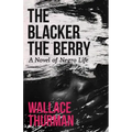 The Blacker the Berry: A Novel of Negro Life
