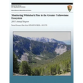 Monitoring Whitebark Pine in the Greater Yellowstone Ecosystem: 2011 Annual Report