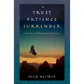 Trust Patience Surrender: Moments of Illumination and Grace