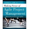 Making Sense of Agile Project Management