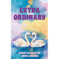 Extra Ordinary