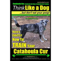 Catahoula Cur, Catahoula Cur Dog, Catahoula Cur Training Think Like a Dog But Don't Eat Your Poop! Catahoula Cur Breed Expert Training: Here's EXACTLY