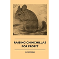 Raising Chinchillas for Profit