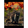 Hiram Raccoon's Phenomenal Movie Adventure