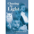 Chasing the Light