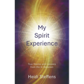 My Spirit Experience: True Stories and Lessons from the In-Between