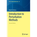 Introduction to Perturbation Methods