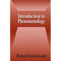 Introduction to Phenomenology