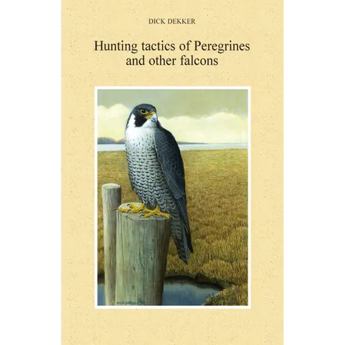Hunting Tactics of Peregrines and other Falcons