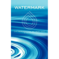 Watermark: An Explanation of Baptism