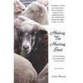 Healing the Hurting Soul: Revised Edition