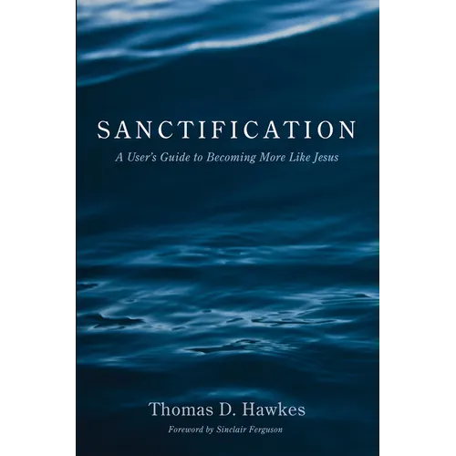 Sanctification: A User's Guide to Becoming More Like Jesus