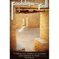 Footsteps After the Fall: A falling rock landed on my head and opened my heart.