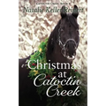 Christmas at Catoctin Creek