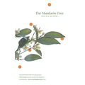 The Mandarin Tree