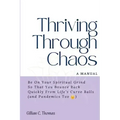 Thriving Through Chaos, A Manual: Be On Your Spiritual Grind So That You Bounce Back Quickly From Life's Curve Balls (and Pandemics Too)