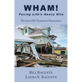 WHAM! Facing LIfe's Heavy Hits: Thirteen Old Testament Encounters