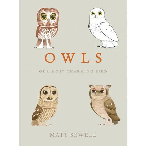 Owls: Our Most Charming Bird