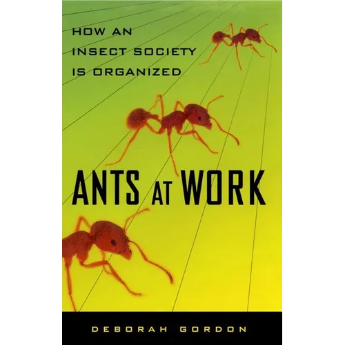 Ants at Work: How an Insect Society Is Organized