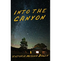 Into the Canyon