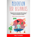 Meditation For Beginners: Think and Act Like A Zen Monk With The Power of Mindfulness and Visualization and Stop Being Anxious and Stressed For Nothin
