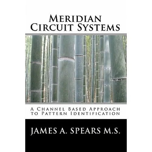 Meridian Circuit Systems: A Channel Based Approach to Pattern Identification