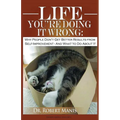 Life - You're Doing It Wrong: Why People Don't Get Better Results from Self-Improvement... and What to Do about It