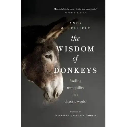 The Wisdom of Donkeys: Finding Tranquility in a Chaotic World