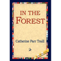 In the Forest