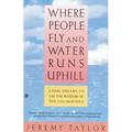 Where People Fly and Water Runs Uphill: Using Dreams to Tap the Wisdom of the Unconscious