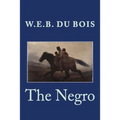 The Negro