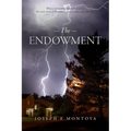 The Endowment